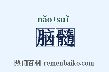 脑髓是什么意思的图片